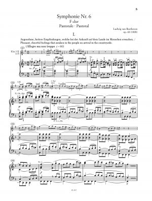 Nicolai Pfeffer - Orchesterstudien Klarinette – Bild 4