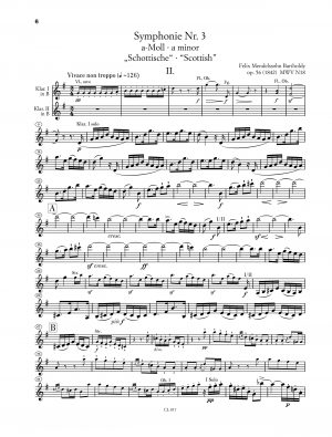 Nicolai Pfeffer - Orchesterstudien Klarinette – Bild 6