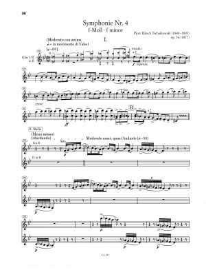 Nicolai Pfeffer - Orchesterstudien Klarinette – Bild 8